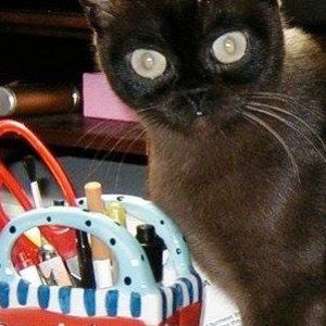 Meet your Posher, Kathryn